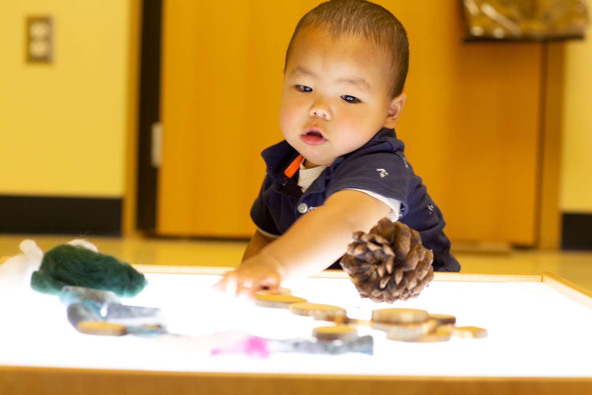 A young infant learns through sight and touch with sensory objects on a light table | Bright Horizons | Sensory Skills
